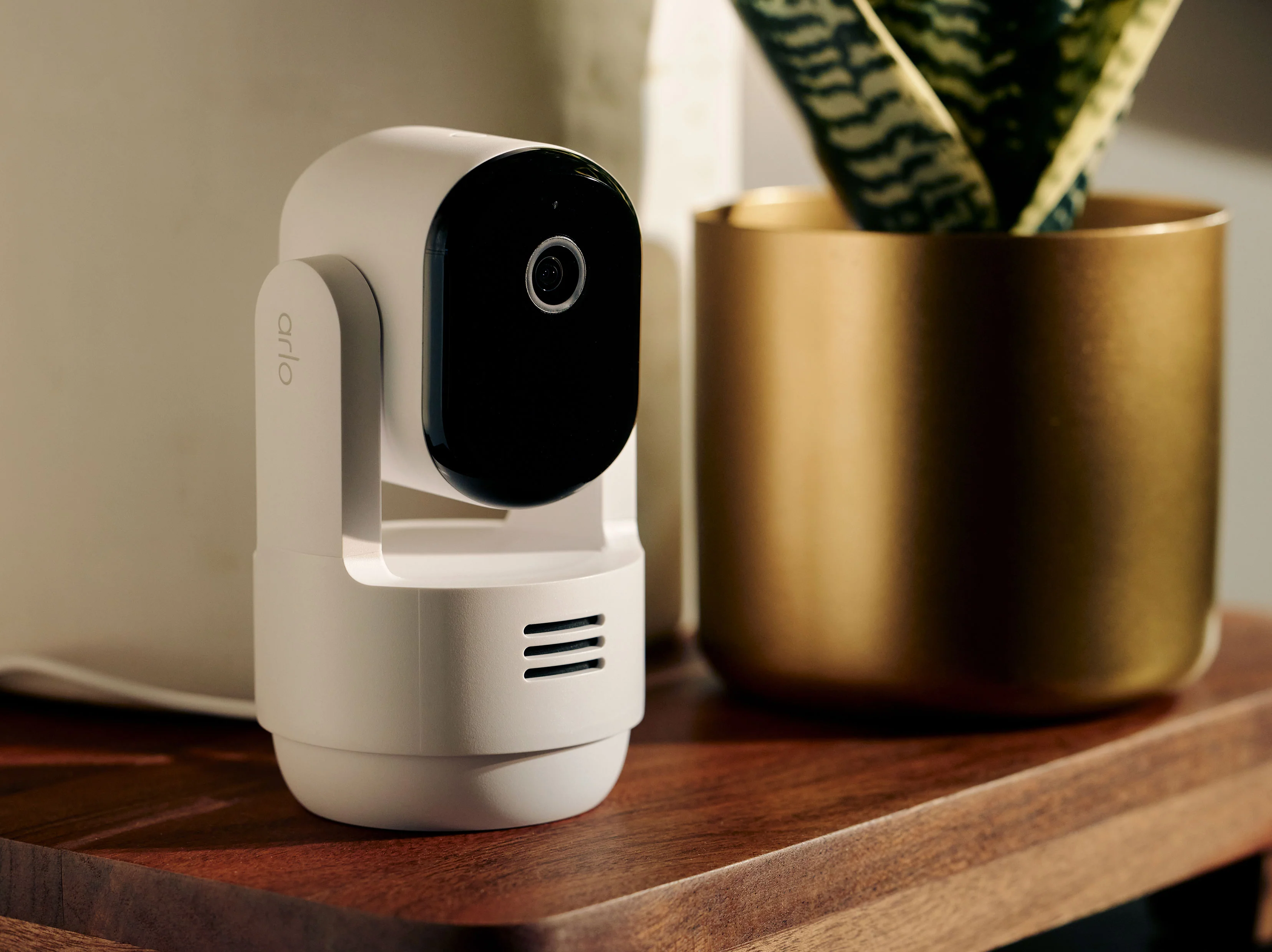 Indoor Security Cameras